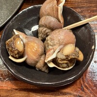 江戸心 山ぼうし - 