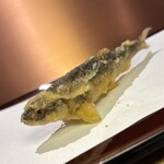 京都祇園天ぷら圓堂 グラングリーン大阪店 - 