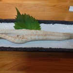 ひら乃 - アナゴの白焼き(1,000円)いまいち