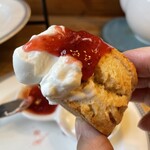 フィトンチッドティーアンドコーヒー - 