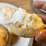 フィトンチッドティーアンドコーヒー - 