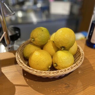 レモン谷テラス_2