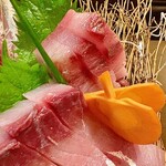 日本酒と朝獲れ鮮魚 源の蔵 - ⑤鰤（ヒラマサの奥）