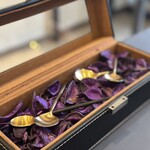 プレゼンテ スギ - 