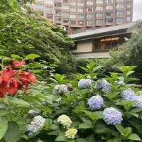 石焼料理 木春堂 - 