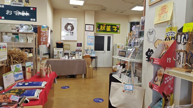 斜里の小さな駄菓子屋さん - 知床斜里（売店）の写真