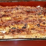 うなぎ 魚政 - 坂東太郎特上
