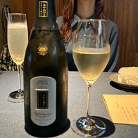 セルサルサーレ - 