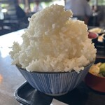 306345679 - ごはん