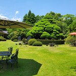 まきのきてい - 