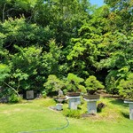 まきのきてい - 