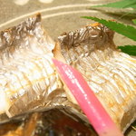 はてなのちゃわん - 太刀魚☆♪