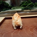 杉の子 - またも握り。