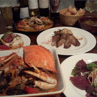 セルベセリアルービロポッサ_1