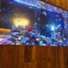 アクアリウムイタリアン心斎橋ライム