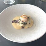 MOON - ホタテのクリーム添え
