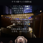 Roof Top Lounge Ace - 