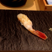 おたる政寿司 本店 - ぼたん海老