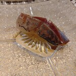 千住 しげ - アジ