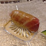 千住 しげ - イサキ