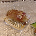 千住 しげ - 春子鯛