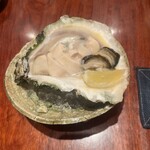 旬肴　ひなか - 