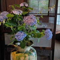 北鎌倉 紫−ゆかり− - 