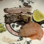 銀座 結絆 - 太刀魚と縞海老のお造り