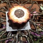 ラチュレ - フォアグラ入りカヌレ