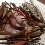 ラチュレ - デセール（カカオパルプ、マンゴー）