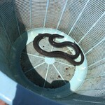 野沢屋 - うなぎ