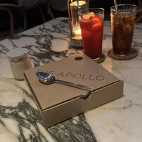 THE APOLLO - 