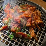 鶏焼肉はやし おいちょ - 
