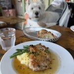 ボンジュール食堂 - 