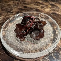 Shangri-La's secret ROPPONGI - 