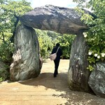 ピアット スズキ チンクエ - 