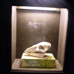 ラ シャッス - 看板