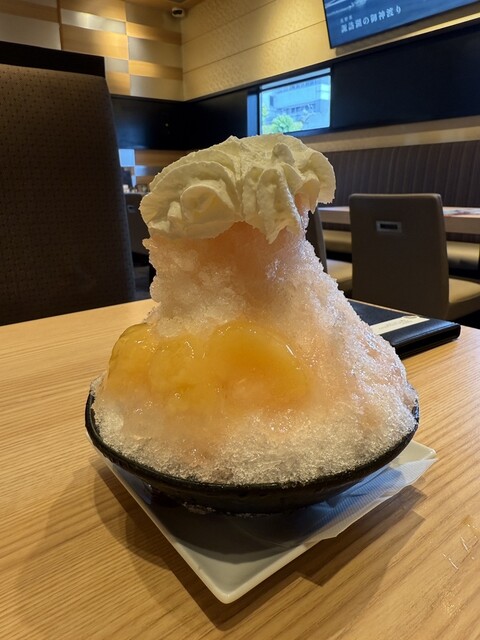 Aoi Coffee Nisshin Kogusan Ten