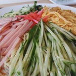 ひとやすみ - 冷やし中華大盛