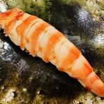 鮨桂太 - 車海老