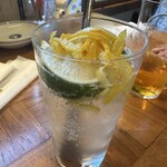 鳥とサワー 鳥どシ - 