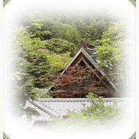 うかい鳥山 - お部屋（個室）からの景色