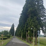 トラピスト修道院 売店 - 