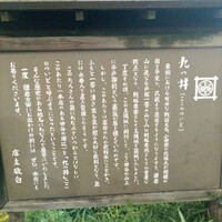 九つ井 玉川店 - 