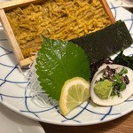 魚将　さかなちゃん - 