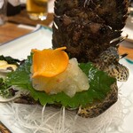 魚将　さかなちゃん - 