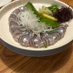 魚将　さかなちゃん - 