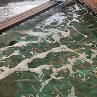 河太郎 中洲本店 - 
