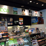 Bocca - 