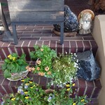 ほびーい喫茶店 - タヌタヌ